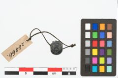 Foto von Glasaugenperle (NHMW-PRAE-026866)